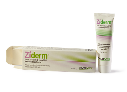 Ziderm